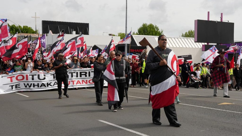 A large group of people walking together during the hīkoi on 14 November 2024, participating in a peaceful public gathering on a city street in Kirikiriroa.