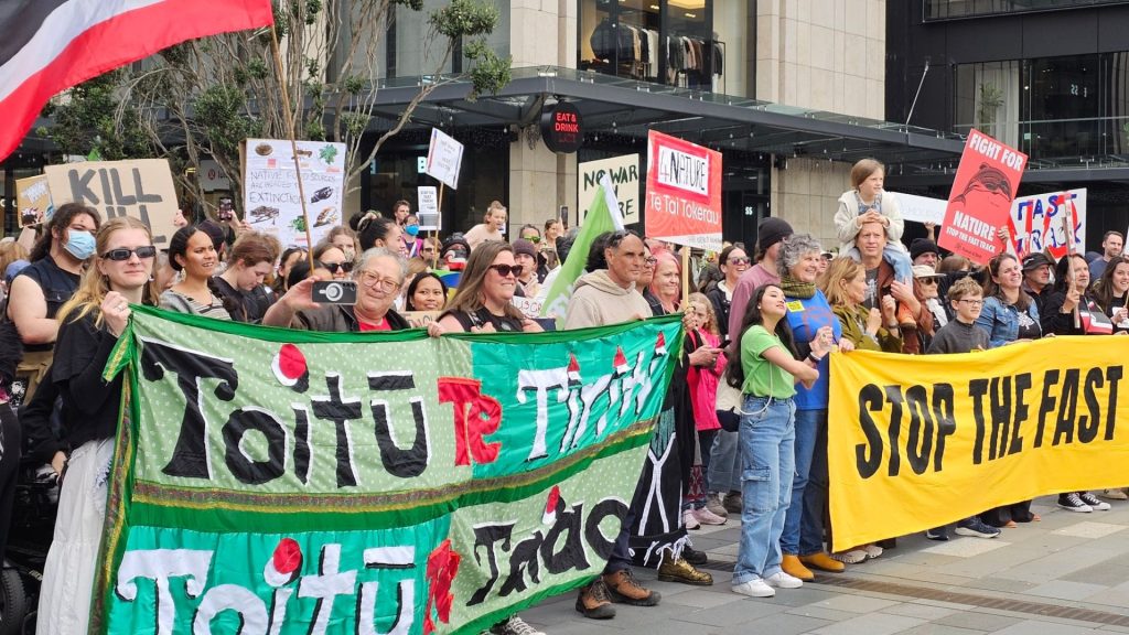 A large group of people gathered for a peaceful protest in Aotearoa, holding banners reading “Stop the Fast Track” and “Toitū Te Tiriti.” Image credit: Simon Gascoigne (Go Eco).